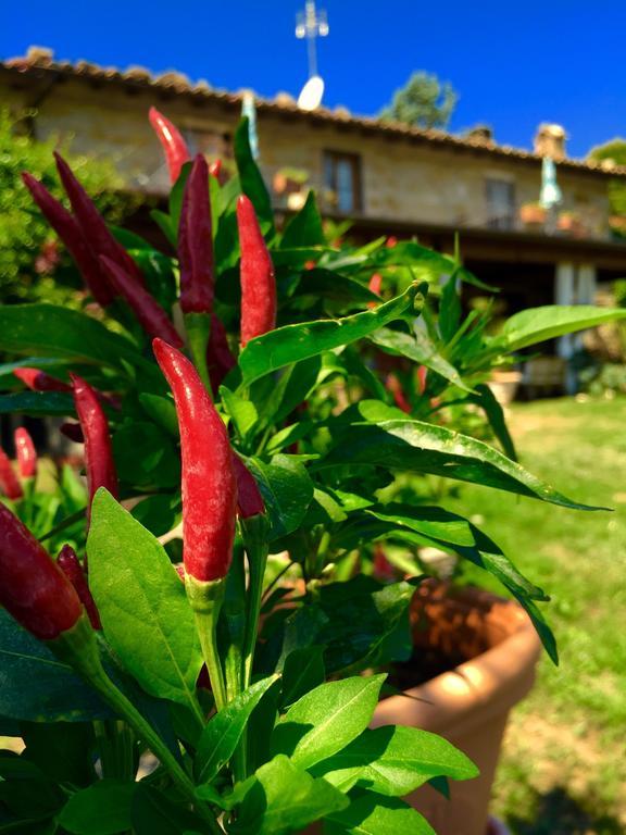 Poggio Paradiso Apartments Mengara Rom bilde